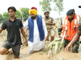 Punjab News