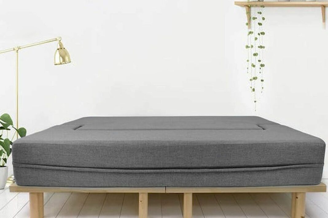 Smart Homes Sofa Cum Bed