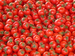 Tomato price hike