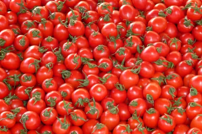 Tomato price hike