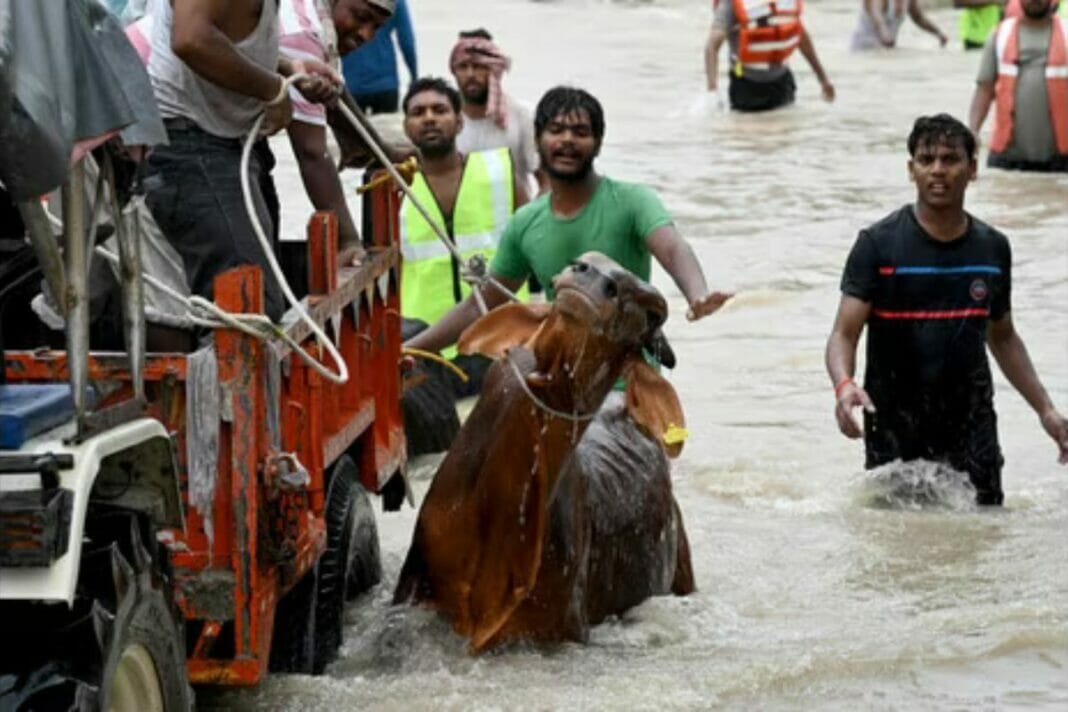 Noida News