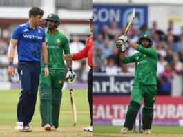 Cricket Viral Video