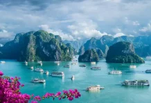 Travel Tips: Discover Vietnam’s natural splendors and cultural delights; Best experiences and ideal visiting seasons Vietnam