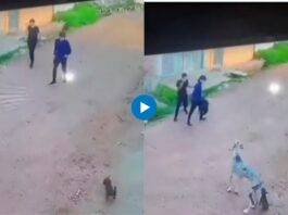 Viral Video