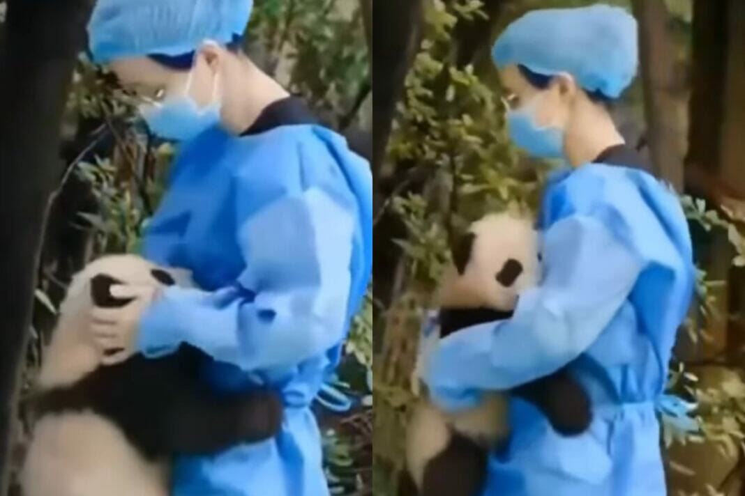 Viral Video