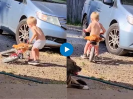 Viral Video