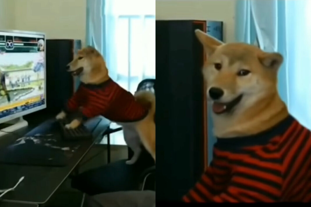 Viral animal