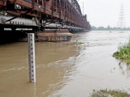 Yamuna Water Level