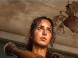 MpPMnxpC-katrinakaiftigerzindahai_1-1