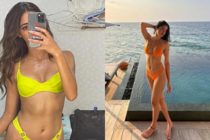 swimsuit (4) swimsuit