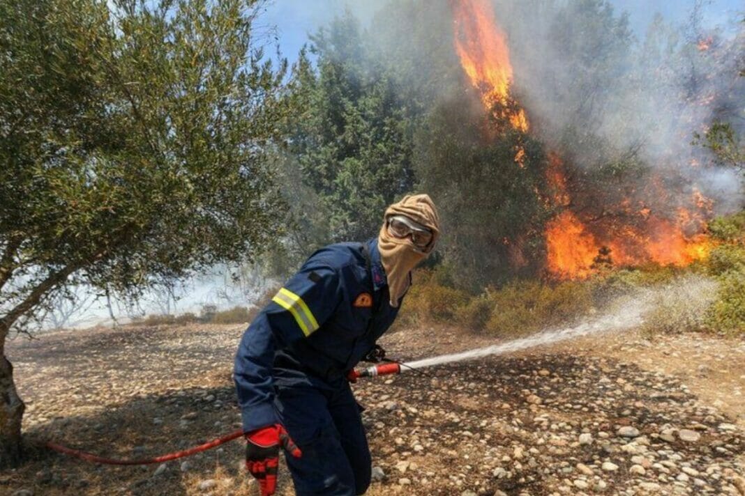 wildfires