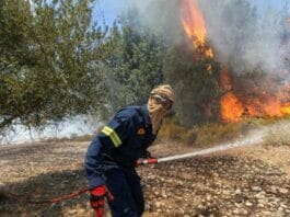 wildfires