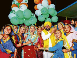 Punjab games