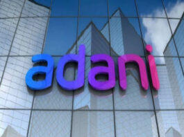 Adani Hindenburg Case