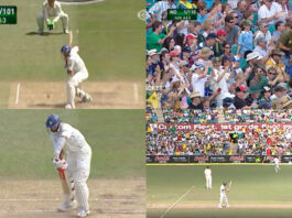 Cricket Viral Video