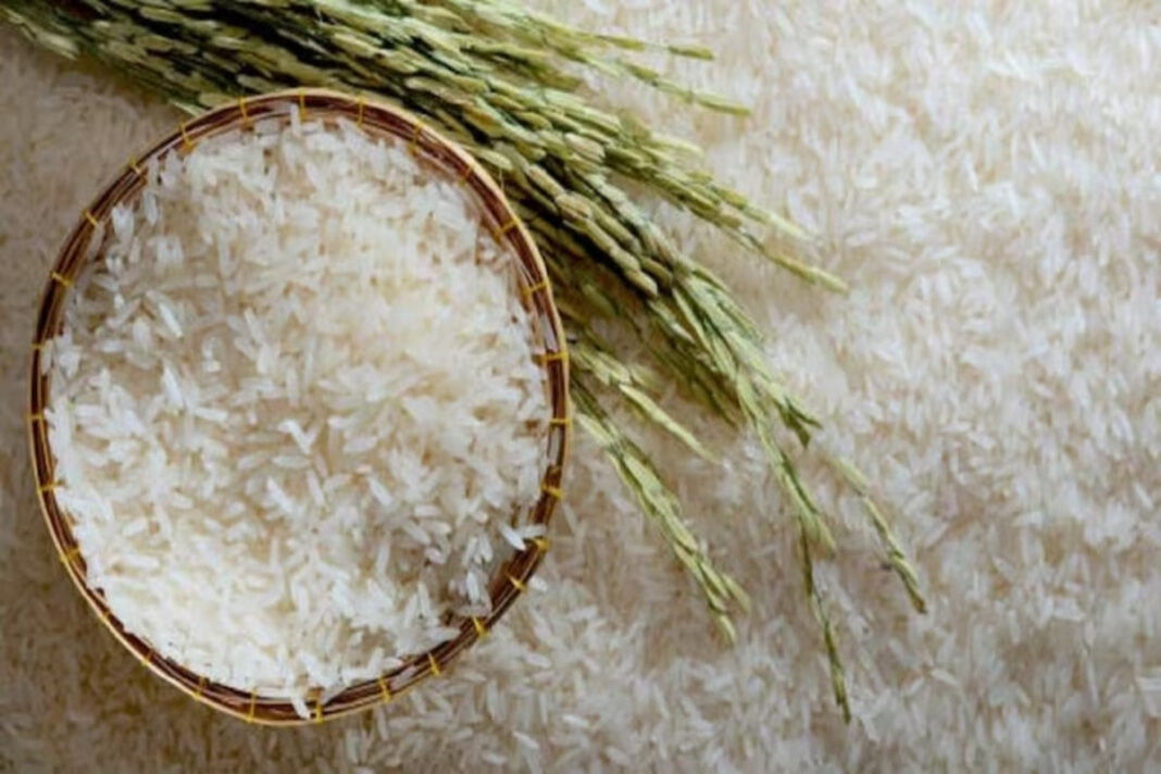 Basmati Rice Export Ban