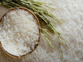 Basmati Rice Export Ban