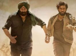 Box Office Collection