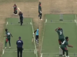 Cricket Viral Video