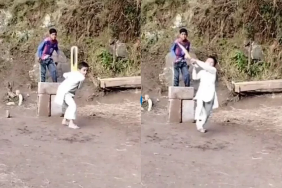 Cricket Viral Video