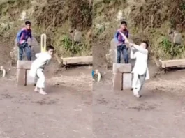 Cricket Viral Video