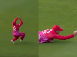 Cricket Viral Video