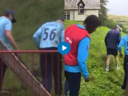 Cricket Viral Video