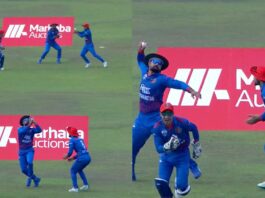 Cricket Viral Video