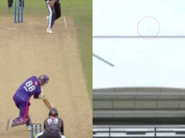 Cricket Viral Video
