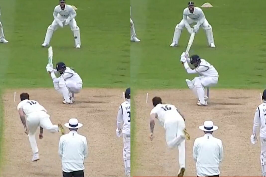 Cricket Viral Video