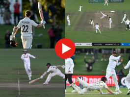 Cricket Viral Video