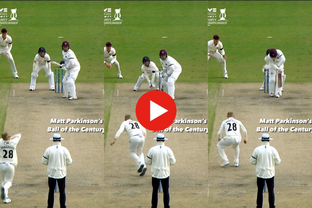 Cricket Viral Video