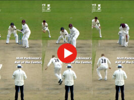 Cricket Viral Video