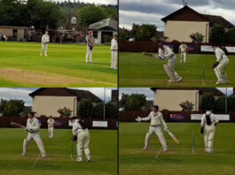 Cricket Viral Video