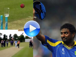 Cricket Viral Video