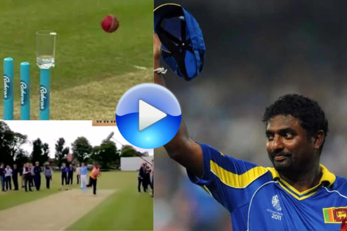 Cricket Viral Video Cricket Viral Video