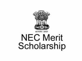 NEC Merit Scholarship