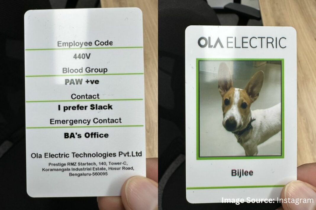 Ola Electric Hires Dog as an Employee