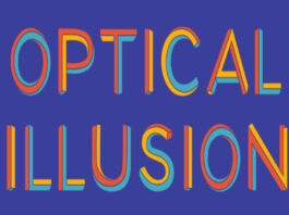 Optical Illusion