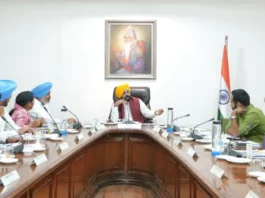 Punjab News: Cabinet Approves Big Ticket Decisions; Road Safety Force, District Parks, and Assistance Center Get Green Light