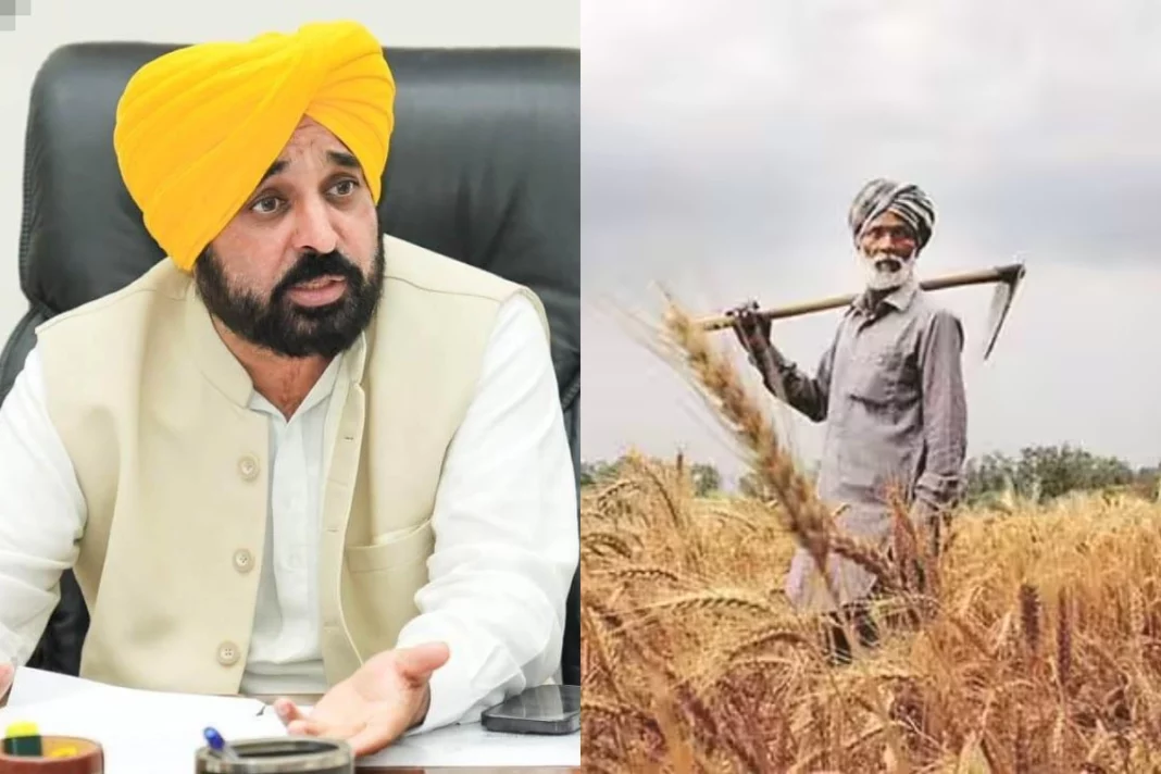 Punjab News