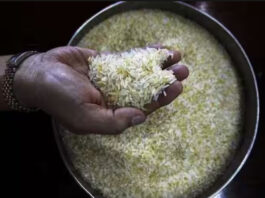 Rice Export Ban