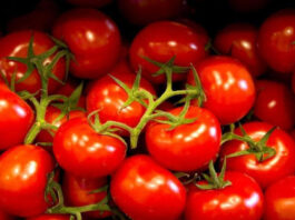 Tomato Price Hike