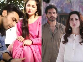 Top 5 Pakistani Drama of Hania Aamir
