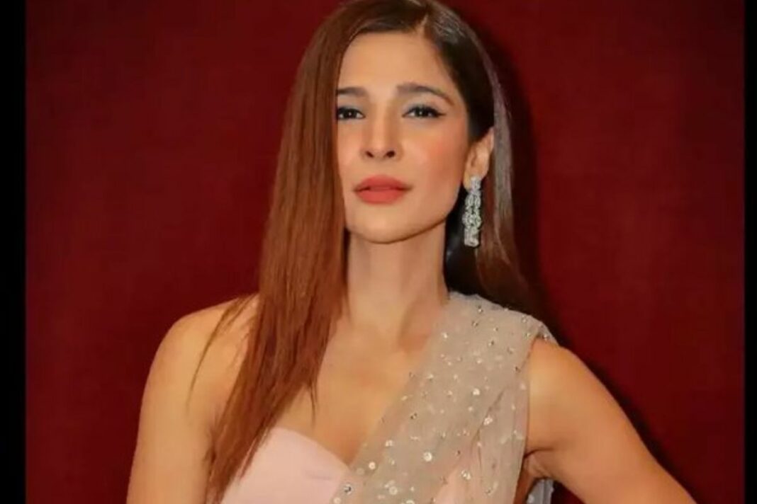 Top 5 Pakistani dramas of Ayesha Omar