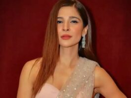 Top 5 Pakistani dramas of Ayesha Omar