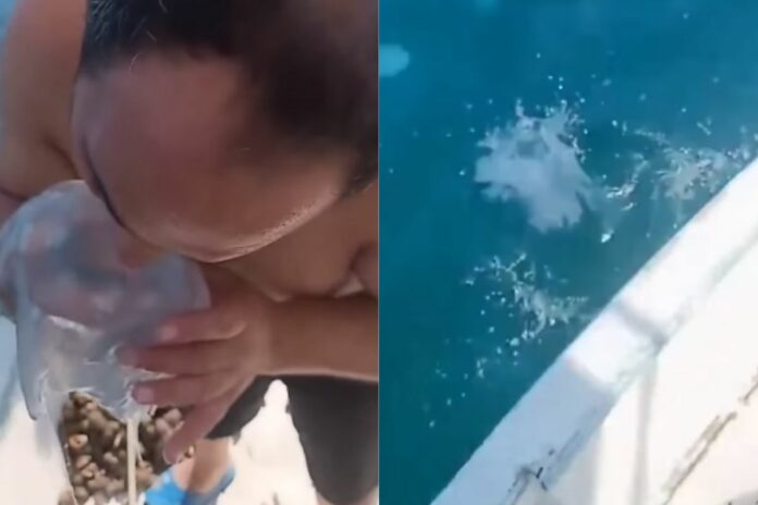 Viral Video (10) Viral Video