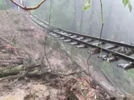 Himachal News