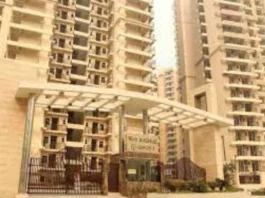 Noida News