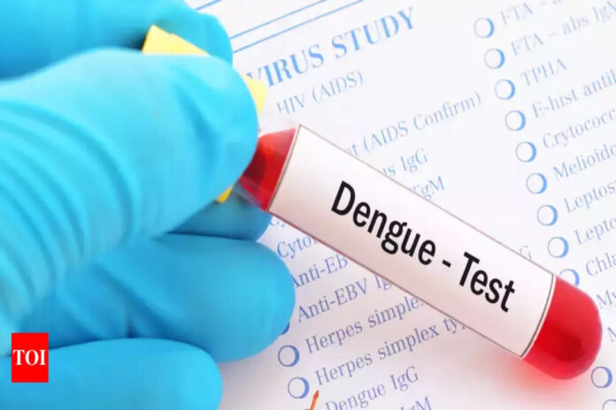 Noida News Noida News